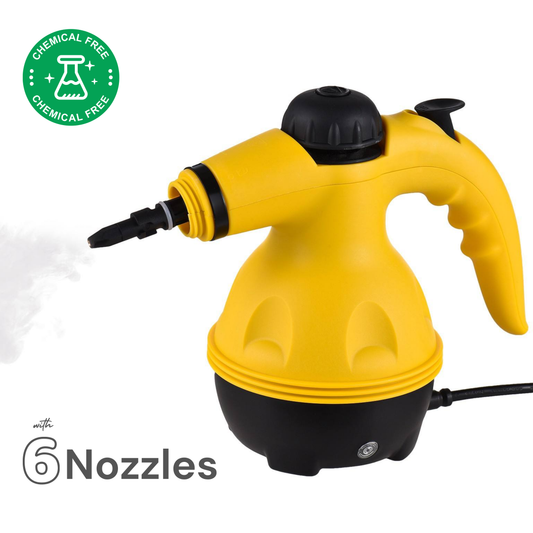 DF Handheld Steam Cleaner