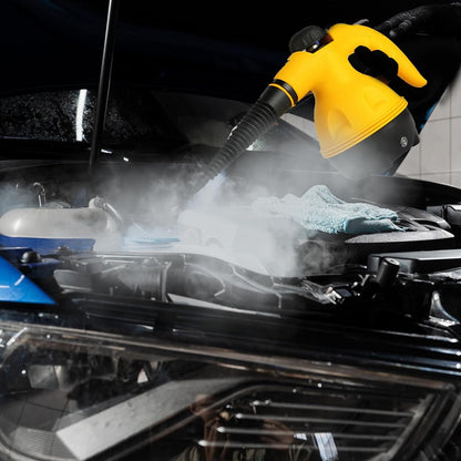 DF Handheld Steam Cleaner